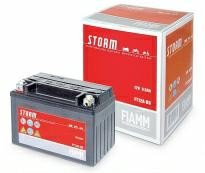 Аккумулятор 6мтс - 8 (Fiamm) STORM  AGM FT9-BS  /509 902 008/
